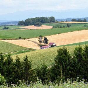 furano fields biei